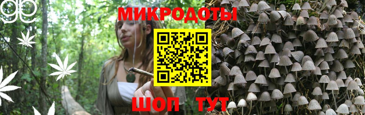 Галлюциногенные грибы Psilocybe  Вход с VPN  Псилоцибиновые грибы прущие грибы  где купить   Звенигород 