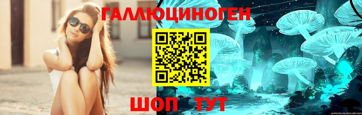Галлюциногенные грибы GOLDEN TEACHER Звенигород